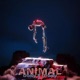 Animal feat Dropy Single
