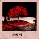 Love vs Single