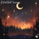 Coming Home feat Jaime Deraz Single