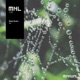 Tau Single