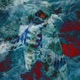 Butterfly Single