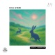 Clarity Momentum Single