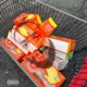Propitious Mango Single