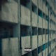 ЛЕСЕНКА Single