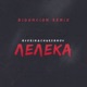 Лелека BID0NCI0N Remix Single
