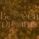 Between Dreams Single