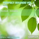 Perfect Sounds Vol 1 Sampler Single