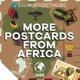 More Postcards From Africa