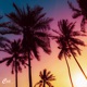 Colors Single