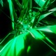 Perspex Single