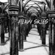 Heavy Skies Single