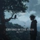Crying in the Rain Single