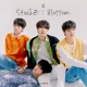 StorIZ Blossom Single