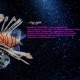 Every m p andemic its conspiration no virus and bacterium bigger than human man legionellas mosquitoes or ocean meduzas the aftersky earth origin of humans and intelligent monkeys there are not just guardian Angels there are demons too ERDEXIT