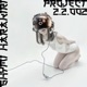 PROJECT 2 2 002