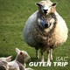Guten Trip EP