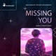 Missing You feat Frik n Chic Nathan Brumley Mario Ferrini Remix Single