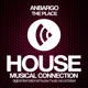 The Place Single
