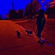 Get yo get back feat Dayy Single