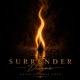 Surrender Divine feat Irie Love Single