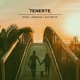 Tenerte feat Ale Per Se Single