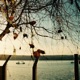 Like Autumn Single