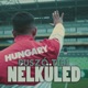 Nélküled Single