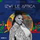 Izwi Le Africa Remixes Single