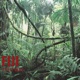 Fiji Single