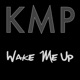 Wake Me Up Originally Performed by Avicii Karaoke Instrumental Single