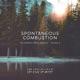 Spontaneous Combustion The Ambient Piano Sessions Vol 2