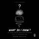 What Do I Know feat PnBoy King Vee DaKar Sesh The Musician Single