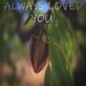 Always Loved You