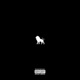 Zoo Single
