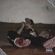 Og Music Session Single