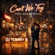 Can t We Try Breakwave Mix Single