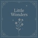 Little Wonders Single
