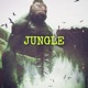 JUNGLE feat Steezy Reezy Single
