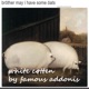 White Cotten Single