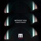 Without You Starkato Remixes Single