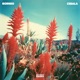 Cebala Single