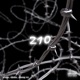 210 Single
