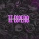 TE ESPERO feat VITOR D OLIVEIRA Single
