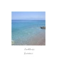 Endless Summer Single