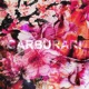 CARBURAR Single