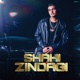 Shahi Zindagi Single