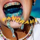 Panorama feat Need a Flex Single
