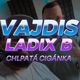 Chlpatá Cigánka feat Ladix B Single