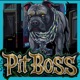 New Mexico Pit Boss
