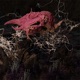 Unknown Territory Single